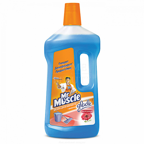 Моющее и чистящее средство MR.MUSCLE "После дождя" 750 мл