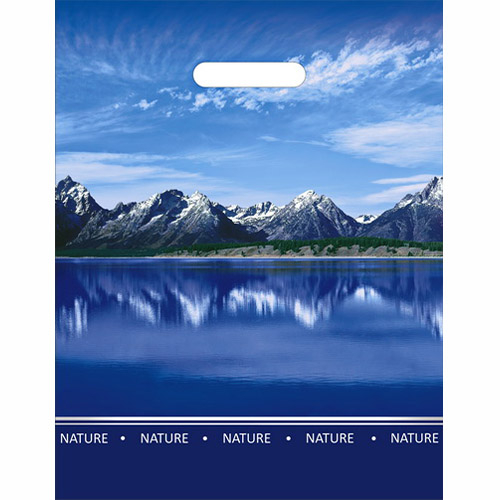 ИНТЕРПАК Пакет Озеро полиэтиленовый ламинированный с вырубной ручкой 31х40 см (60мкм)