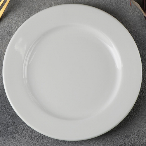 Тарелка обеденная, PROFESSIONAL, WILMAX, d-25,5 см