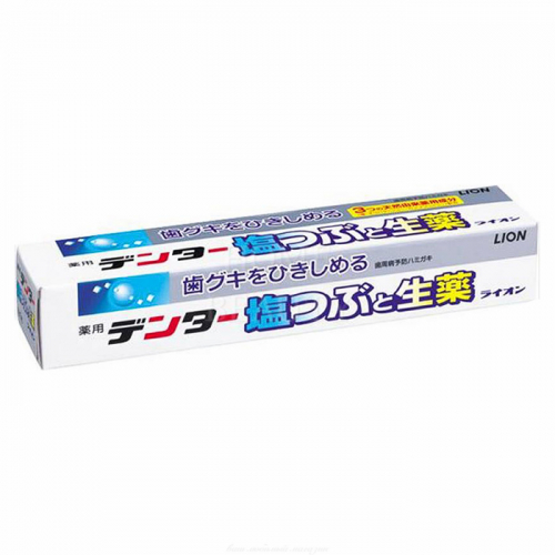 LION "Dental" Лечебно-профилактическая зубная паста с солью и растительными экстрактами для укрепления десен, туба 180 г